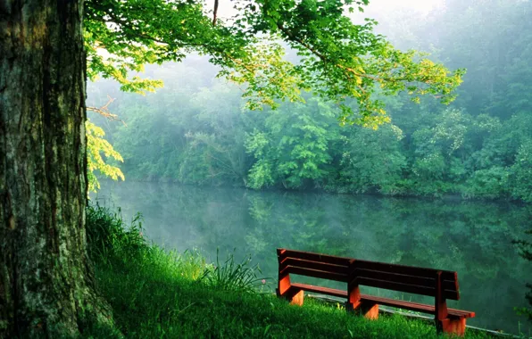 Bench, river, calm