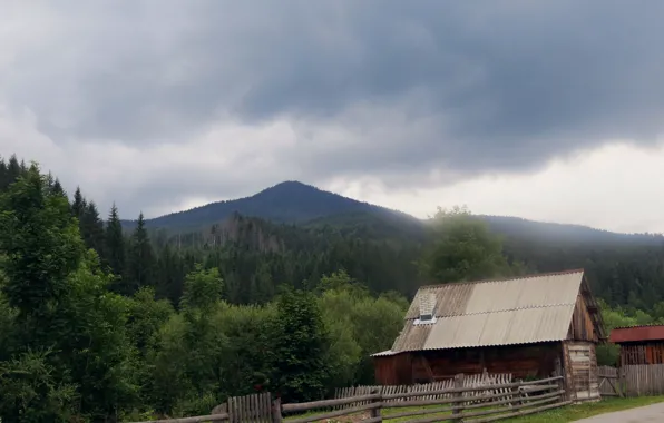 Mountains, Ukraine, Carpathians, biosphere reserve