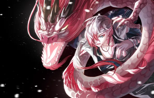 Dragon, look, guy