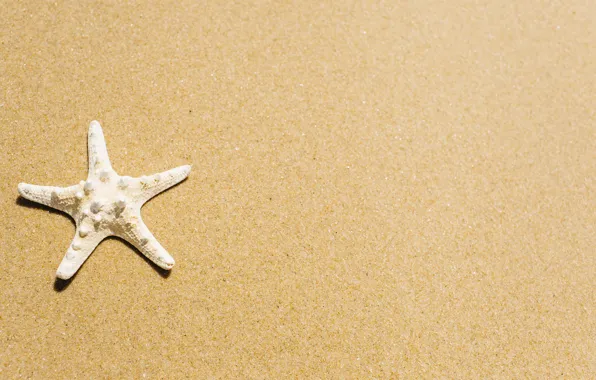 Sand, sea, beach, star, summer, beach, sea, sea