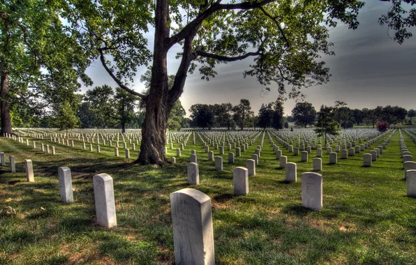 Picture memory, cemetery, Arlington National Cimetery