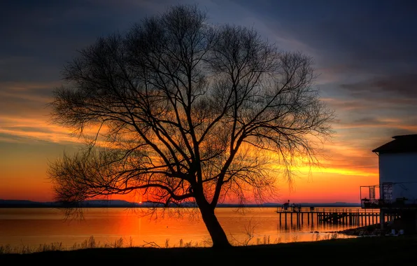 Sunset, lake, tree, pierce