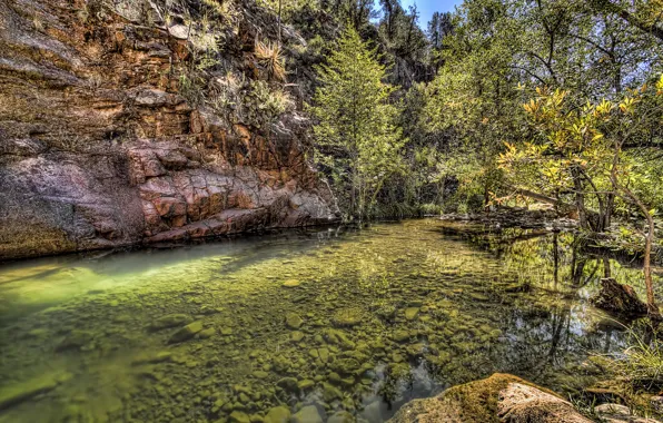 Picture water, trees, stones, rocks, green, treatment, the bottom, Nature