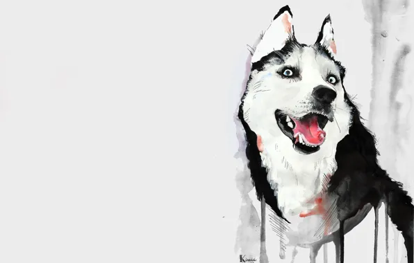 Language, figure, dog, watercolor, husky, husky