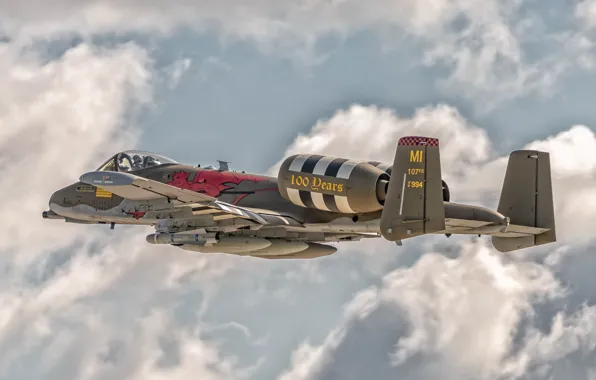 The sky, the plane, A-10 Warthog