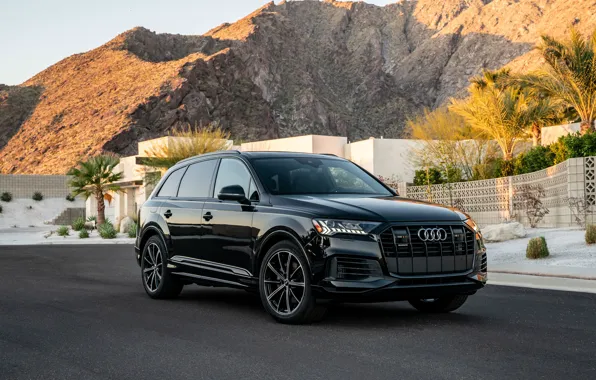 Picture Audi, quattro, TFSI, 2020, Q7 55