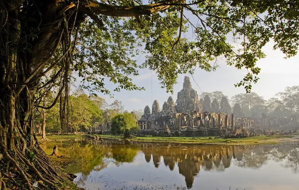 Picture swamp, civilization, Cambodia