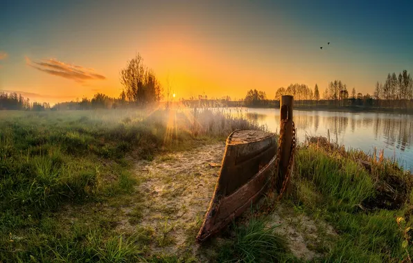 The sky, clouds, landscape, sunset, nature