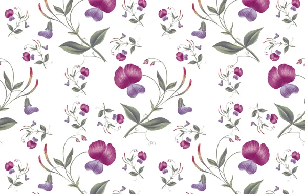 White, flowers, background, Wallpaper, Pattern, Floral, Seamless