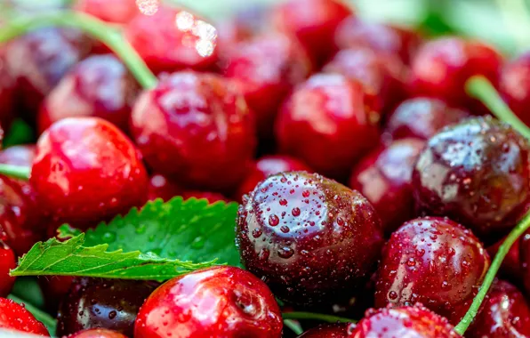 Drops, macro, cherry, berries, leaf, blur, red, fruit