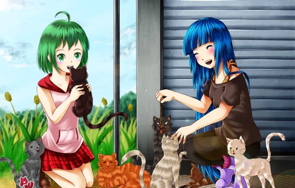 Cats, cats, girls