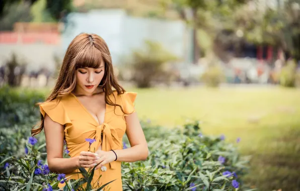Girl, dress, neckline, Asian, cutie, bokeh