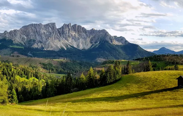 Picture trees, mountains, valley, Italy, panorama, Italy, The Dolomites, South Tyrol