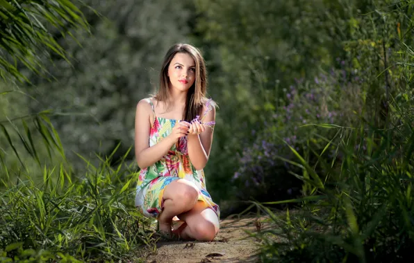 Grass, flowers, path, beautiful girl, Sunny day, nature, charming