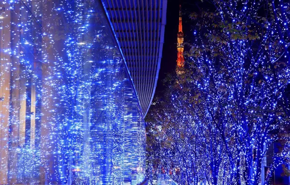 Trees, Backlight, lights