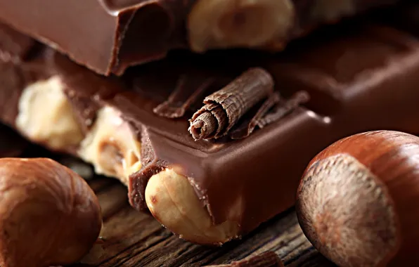 Picture macro, food, chocolate, nuts, dessert, forest