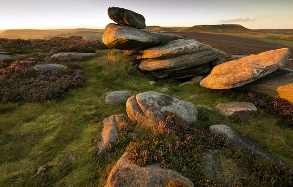 Field, light, nature, stones
