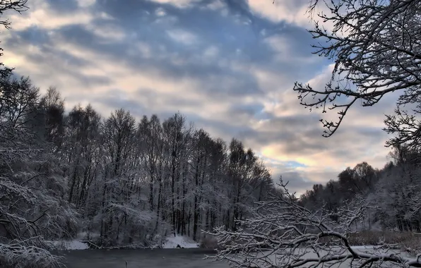 Winter, forest, snow, lake
