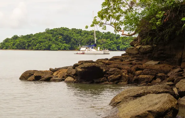 Sea, trees, stones, coast, yacht, Panama, chica, Chiriqui