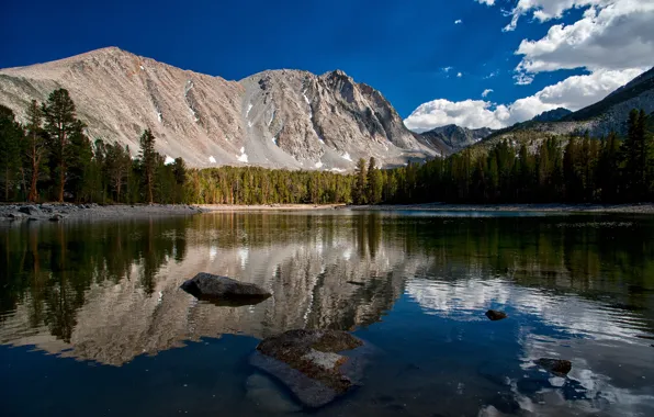 Forest, mountains, reflection, CA, California, Sierra Nevada, lake Dorothy, Dorothy Lake