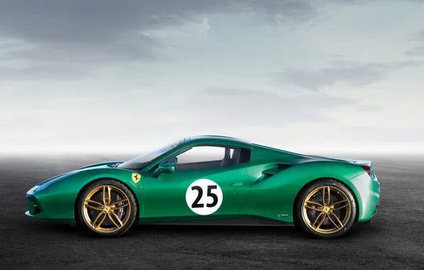 Picture Ferrari, 2016, 488, Ferrari 488 Spider "The Green Jewel"