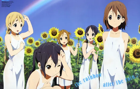 Summer, the sun, flowers, sunflower, rainbow, K-On!, keion, Moogie