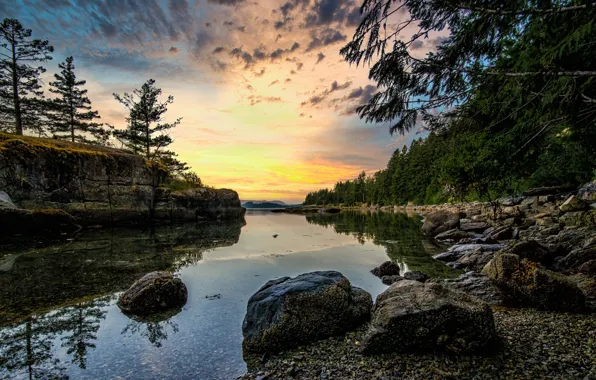 Picture forest, river, rocks, morning, Canada