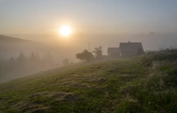 Summer, fog, morning, Carpathians