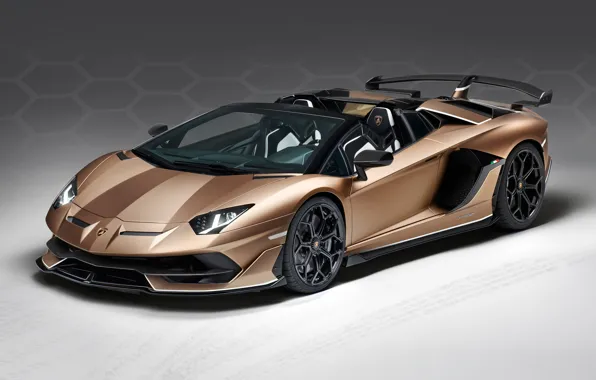 Picture Roadster, Lamborghini, Aventador, SVJ