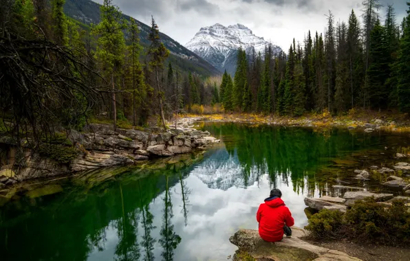 Forest, mountains, lake, shore, male