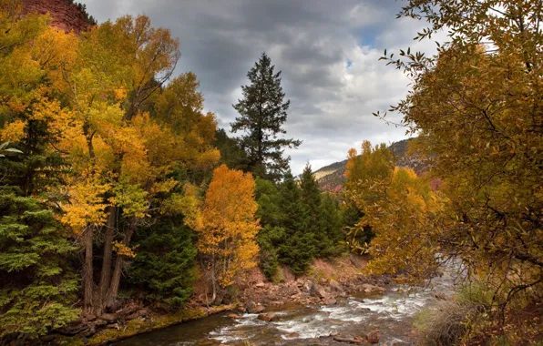 Autumn, forest, the sky, leaves, clouds, trees, mountains, clouds