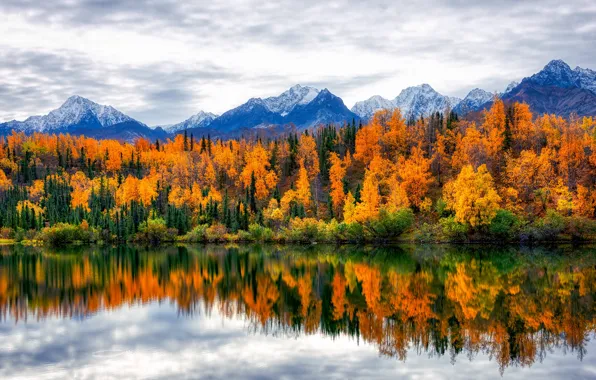 Autumn, forest, clouds, trees, mountains, lake, reflection, shore