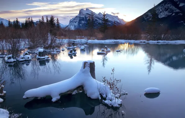 Winter, lake, morning