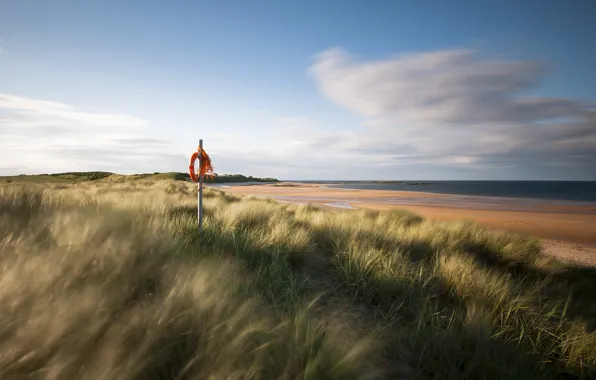 Picture sand, sea, grass, shore, England, UK, lifeline