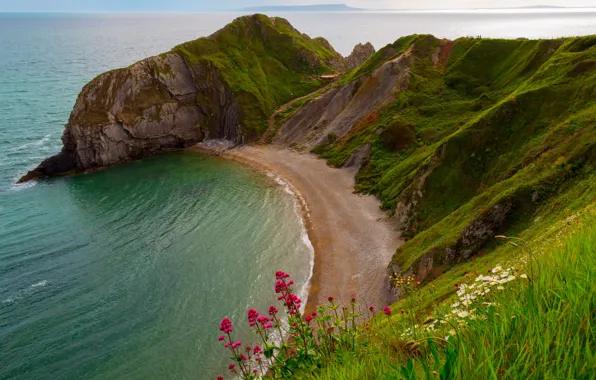 Sea, flowers, rocks, England