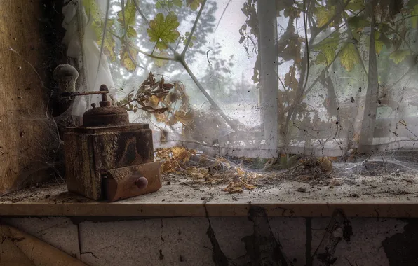 Web, window, coffee grinder