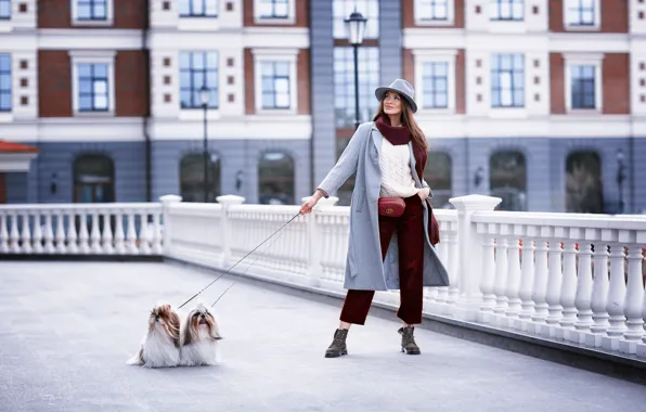 Picture dogs, pose, Girl, hat, legs, Diana, Anna Shuvalova