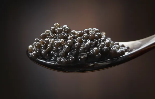 Macro, spoon, black, caviar, dumb-dumb, delicious
