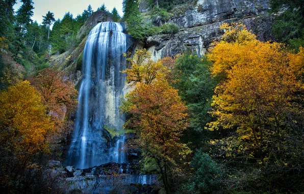 Picture trees, rocks, foliage, waterfall, Autumn