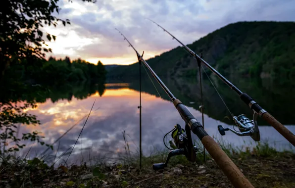 Summer, landscape, blur, bokeh, fishing rods, view, travel, wallpaper.