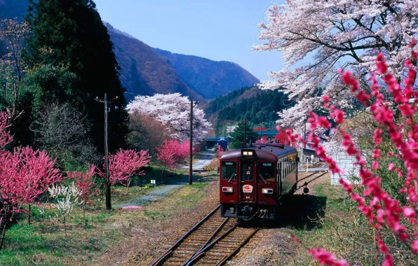 Picture mountains, train, spring, Japan, flowering, Gunma Prefecture