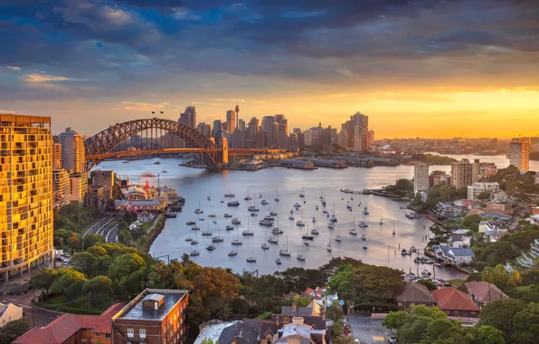 Bridge, Strait, home, Australia, panorama, Sydney, harbour