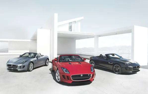 Picture red, background, black, Villa, Jaguar, silver, Jaguar, Roadster