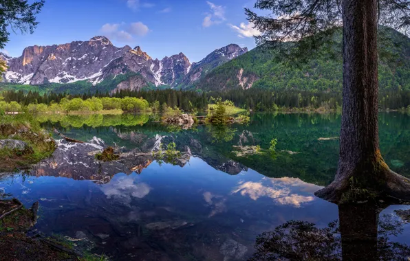 Forest, mountains, lake, reflection, tree, Italy, Italy, The Julian Alps
