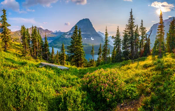 Mountains, Glacier National Park, landscape, USA