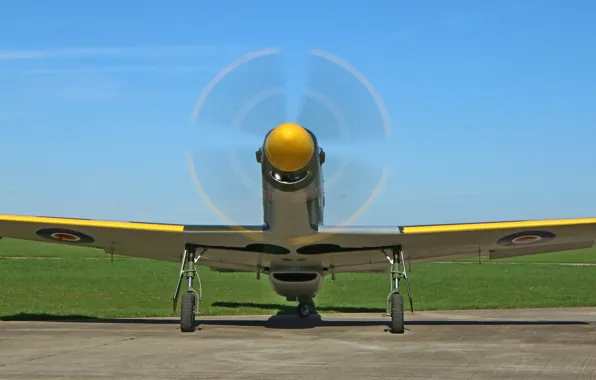 Mustang, propeller, the airfield, Titan, T-51B