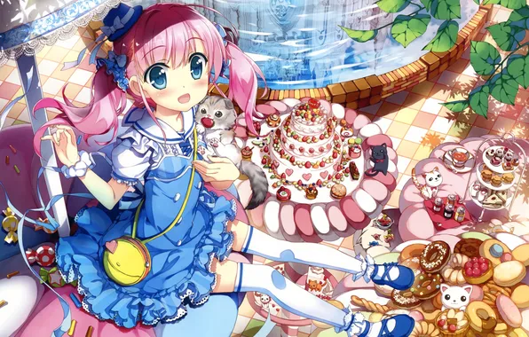 Picture cats, candy, girl, sweets, cake, pink hair, takuya fujima