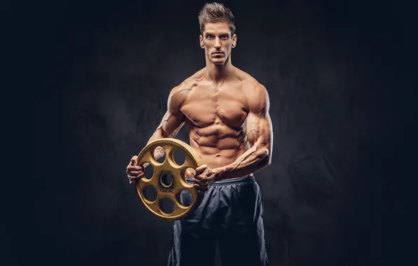 Damn, muscle, muscle, men, workout, fitness, gym, abs