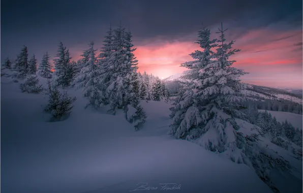 Picture winter, snow, sunset, nature, hills, tree, Friedrich Beren