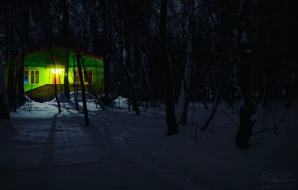 Light, house, forest, trees, nature, blue, night, winter